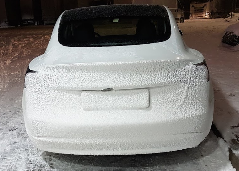 01.2021_tesla.png