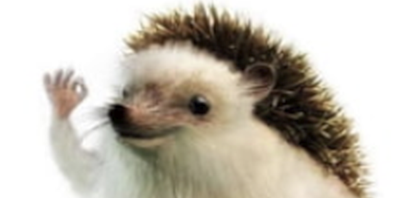 1631646842364.png