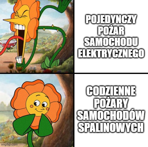 1706916263231.png