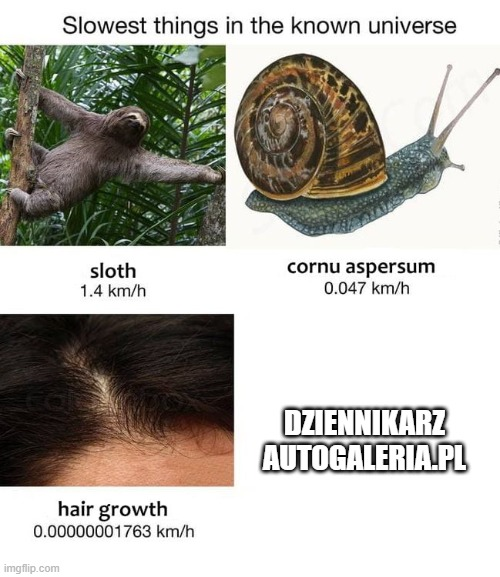 1707377147939.png