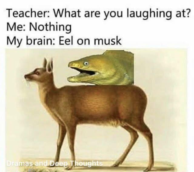 eelonmusk.jpg