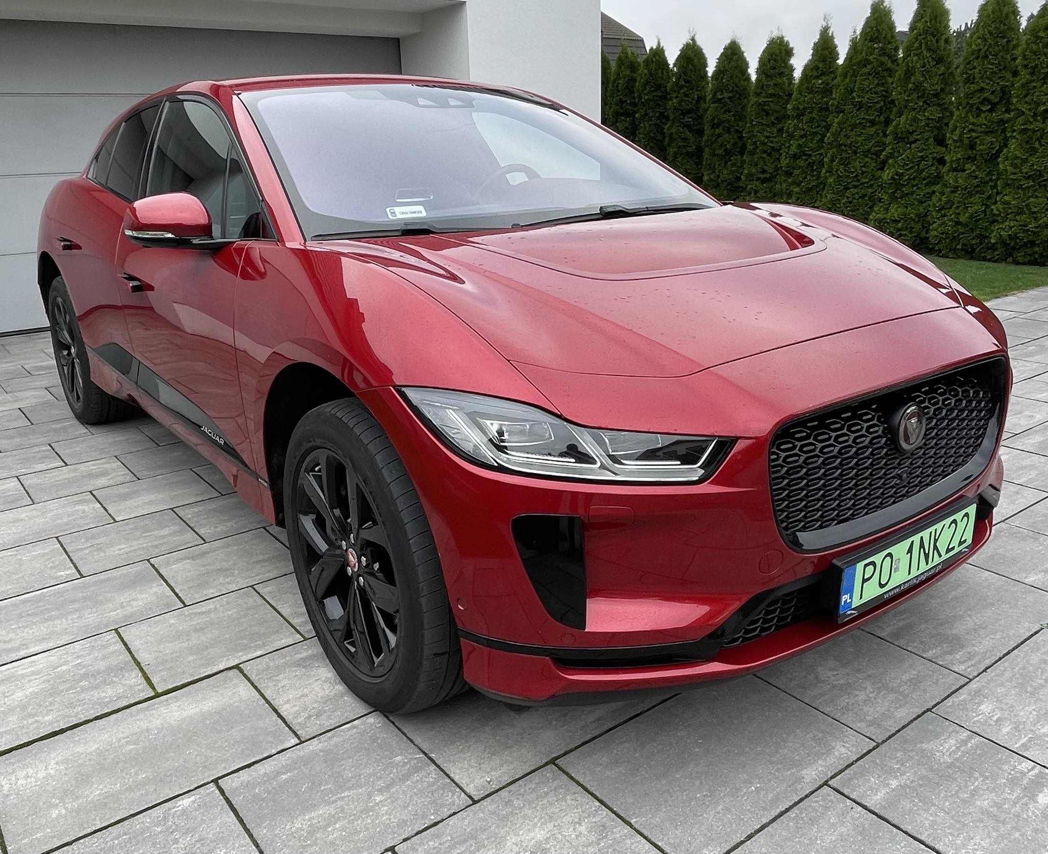 Jaguar_1.jpg