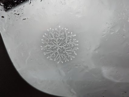 PXL_20230424_172538160.jpg