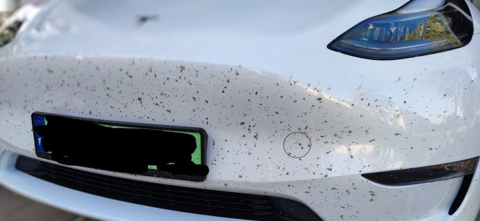 tesla_robale.jpg