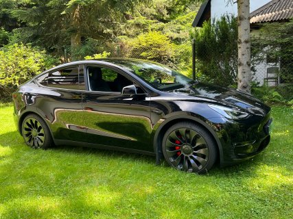 tesla yyy.jpg