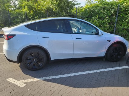 tesla_czarne fele.jpg