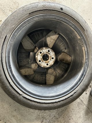 IMG_2212.jpeg