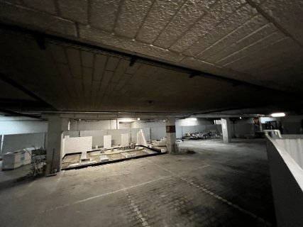 IMG_1464.jpeg