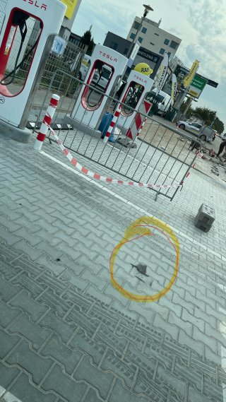 IMG_2812.jpeg