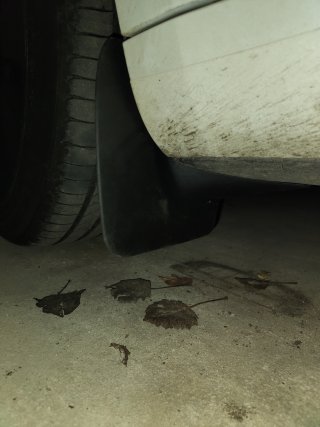 IMG20231130144354.jpg