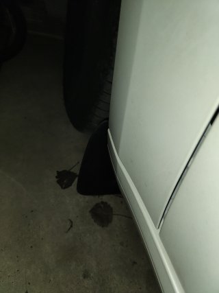 IMG20231130144425.jpg