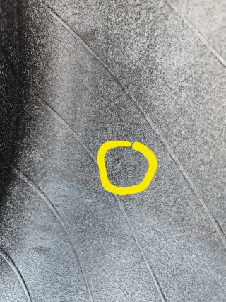 received_341676548688047.jpeg