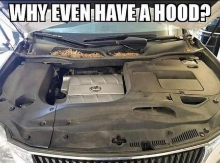 why_hood.jpg