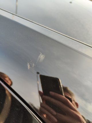 IMG_20240315_114450.jpg