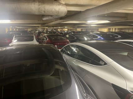 IMG_7996.jpeg