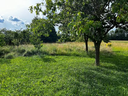 IMG_4257.jpeg