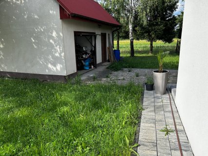 IMG_4256.jpeg