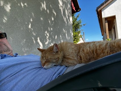 IMG_4272.jpeg