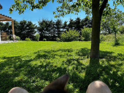IMG_4270.jpeg
