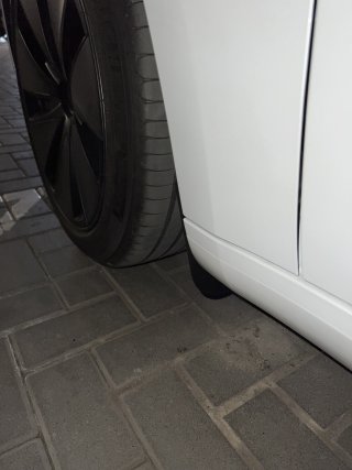IMG_5907.jpeg