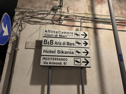 IMG_7558.jpg