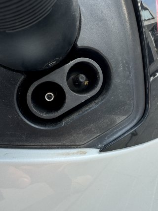 IMG_2850.jpeg