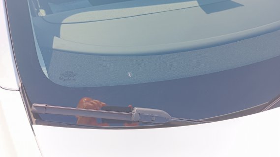 1732095147102.jpg