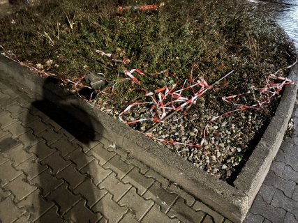 6EE2074A-170D-424A-8FE1-B6874390E8DF_1_105_c.jpeg