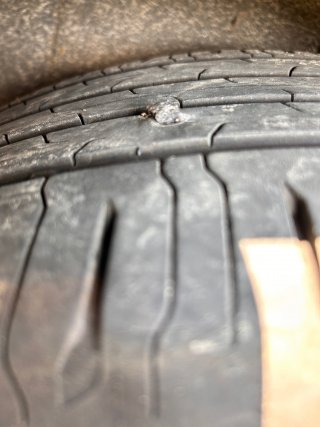 IMG_7173.jpeg