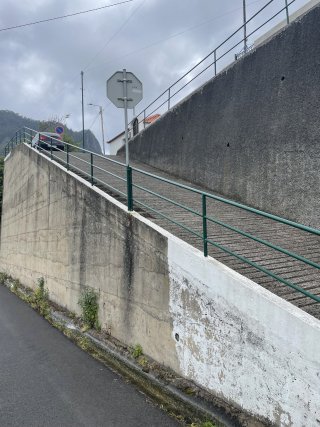 IMG_4398.jpeg