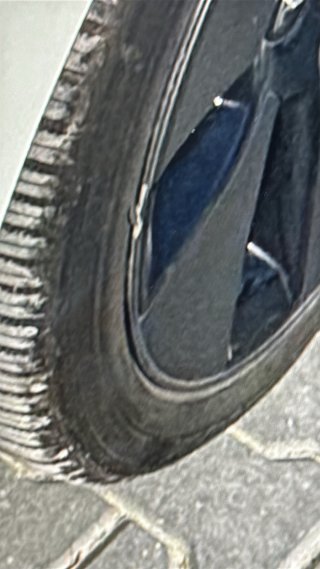 IMG_1561.jpeg
