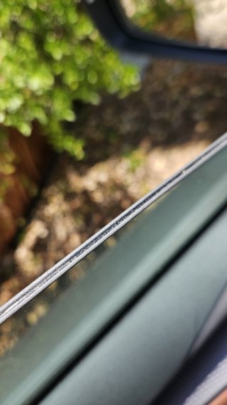 20250619_121957.jpg
