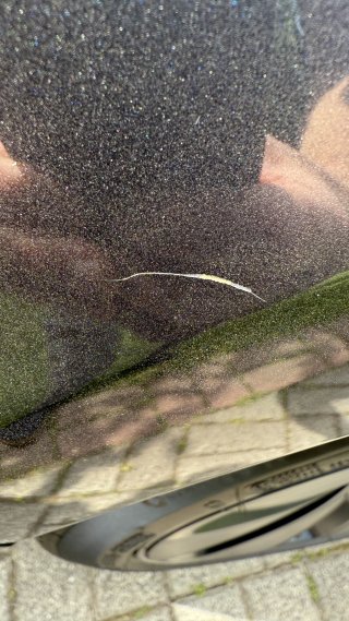 IMG_4858.jpeg