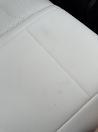 IMG_3772.JPEG