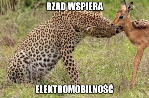 6032ea.jpg