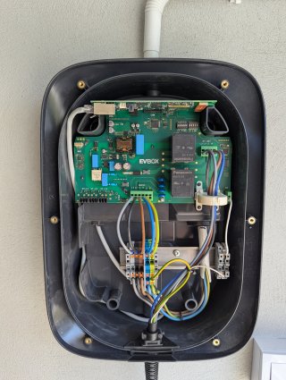 PXL_20250614_110433405.jpg