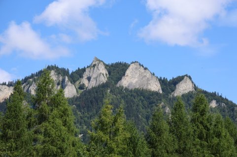 IMG_9614.jpeg