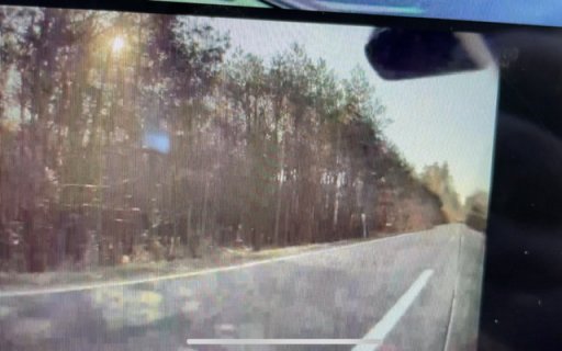 FC8C6E6D-3CB0-410F-AD1B-C8E159565912.jpeg