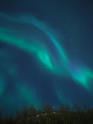 OI000057_2.jpg